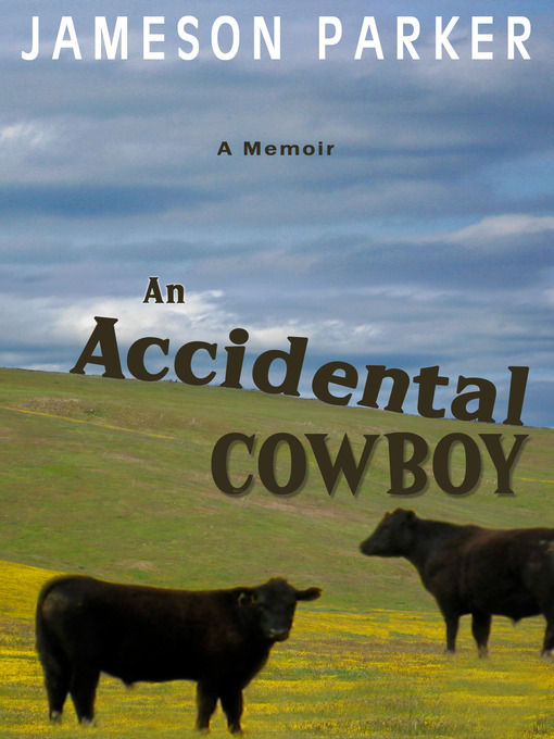 Cover image for An Accidental Cowboy
